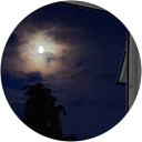 mick M. profile picture