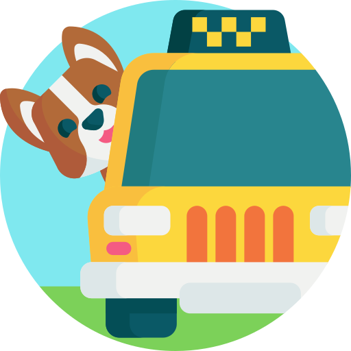 Pet Friendly Vehicles